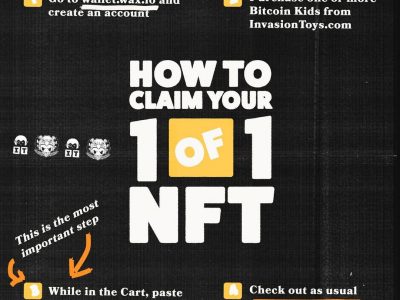 bitcoin kid nft instructions graphic